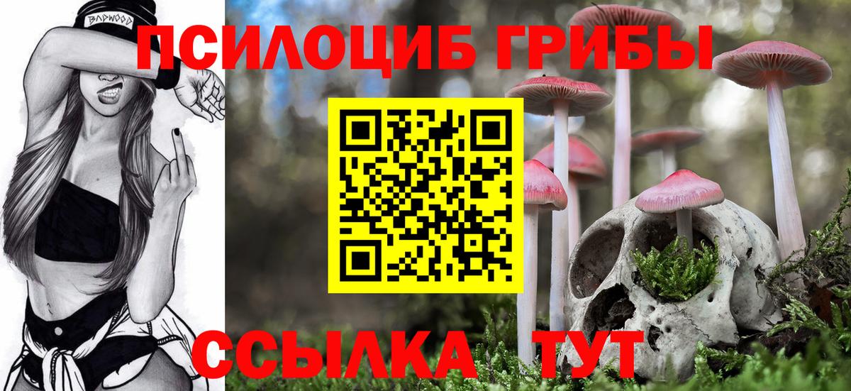 Псилоцибиновые грибы Magic Shrooms  Галлюциногенные грибы Magic Shrooms  Михайловка  купить наркотик  Вход с VPN 