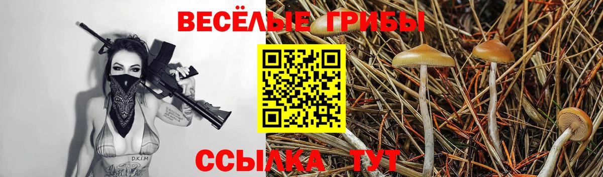 Галлюциногенные грибы Psilocybine cubensis Михайловка